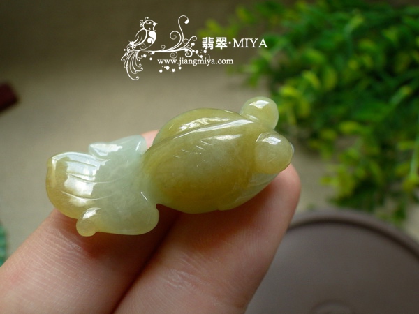 翡翠小金鱼