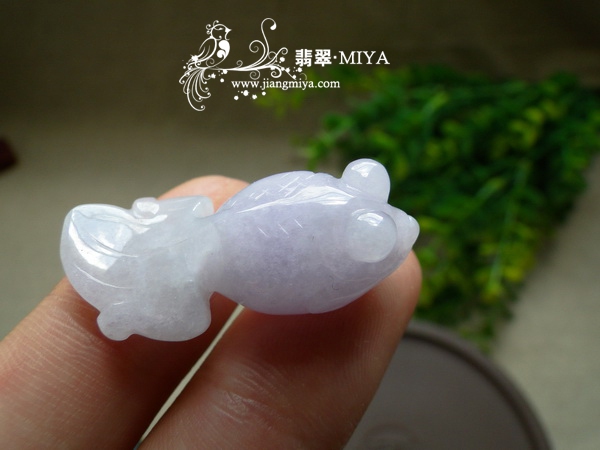 翡翠小金鱼