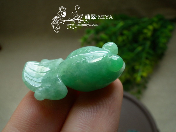 翡翠小金鱼