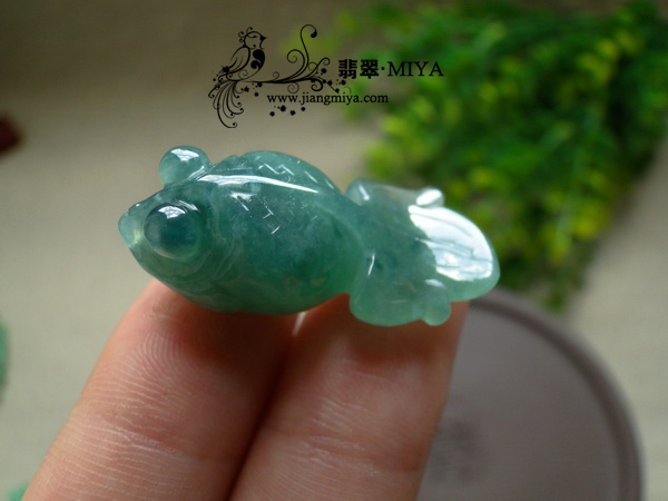 翡翠小金鱼