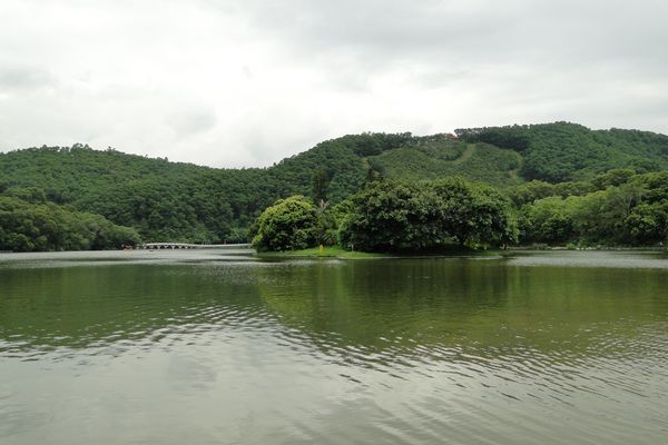 小风景