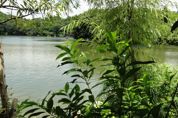 小风景