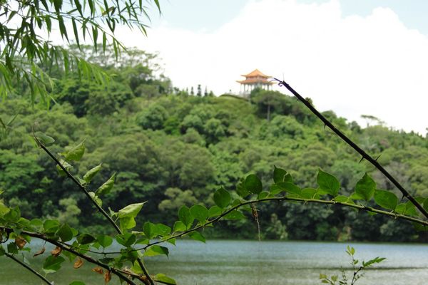 小风景