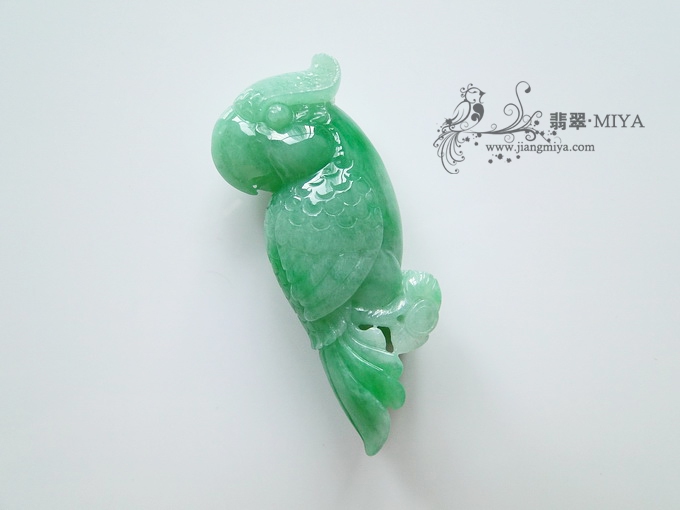 细糯种带翠阳绿胖鹦鹉