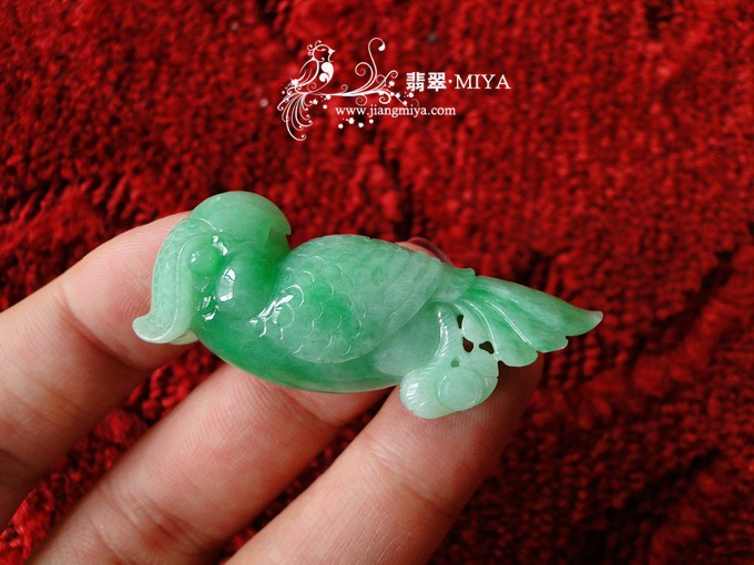 细糯种带翠阳绿胖鹦鹉