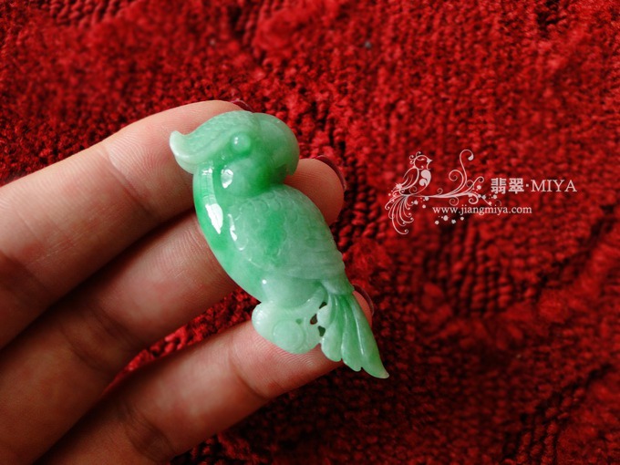 细糯种带翠阳绿胖鹦鹉