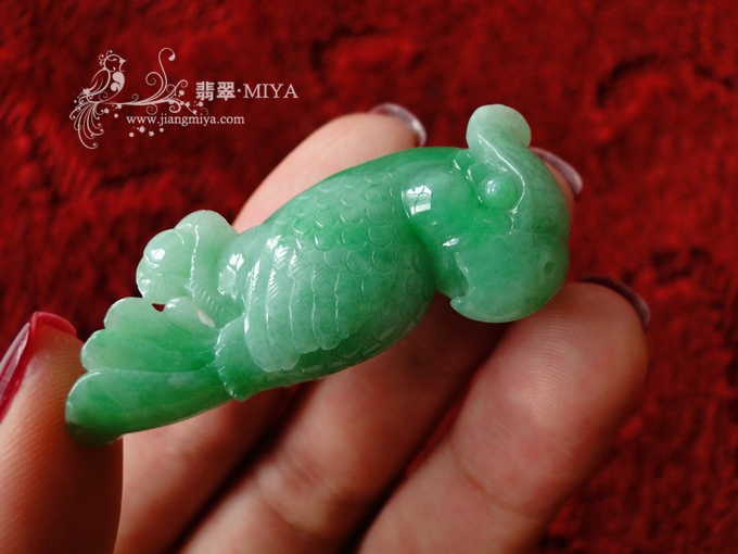 细糯种带翠阳绿胖鹦鹉