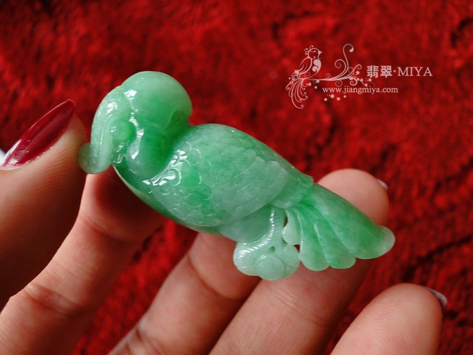 细糯种带翠阳绿胖鹦鹉