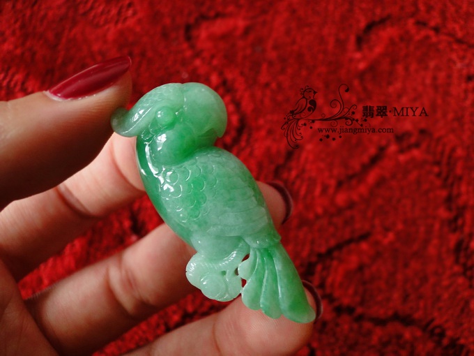 细糯种带翠阳绿胖鹦鹉