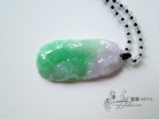 紫加绿春带彩荷叶