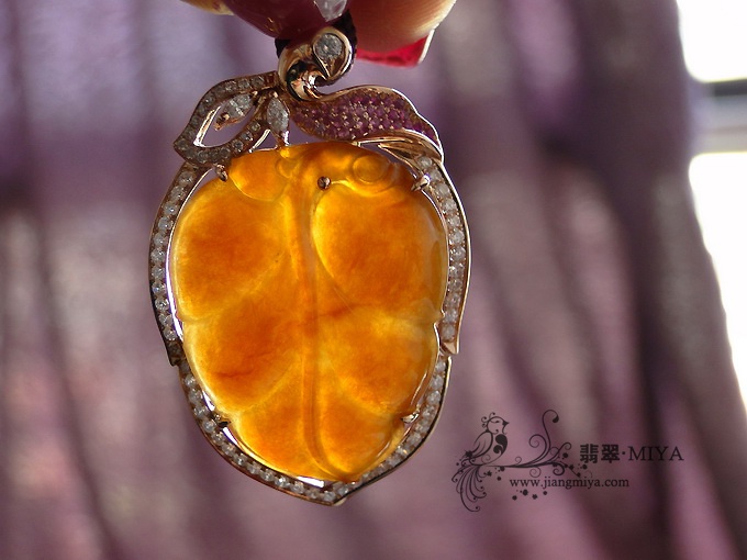 美貌红翡树叶
