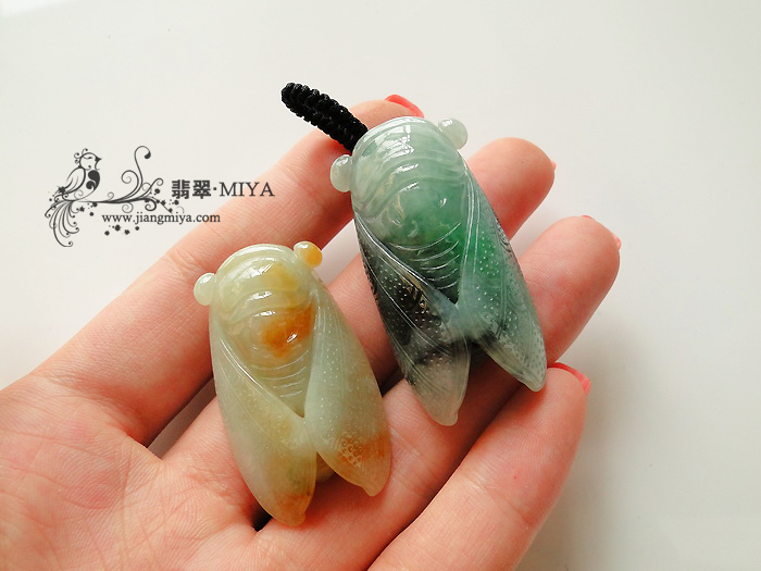 一鸣惊人，比翼双飞，两只蝉