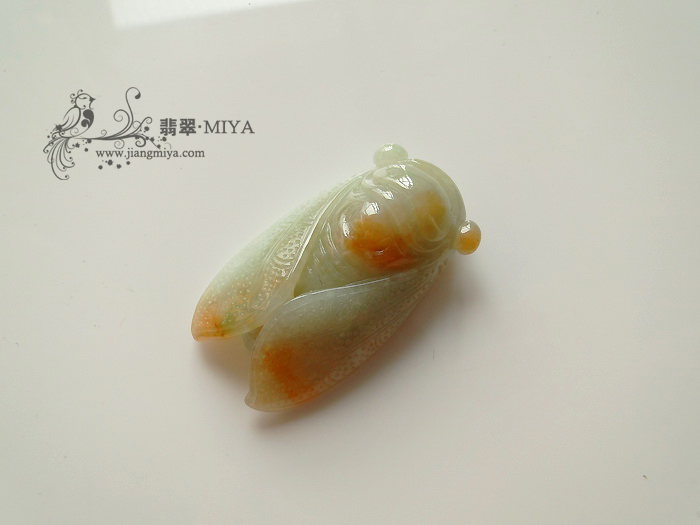 一鸣惊人，比翼双飞，两只蝉