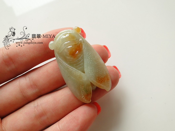 一鸣惊人，比翼双飞，两只蝉