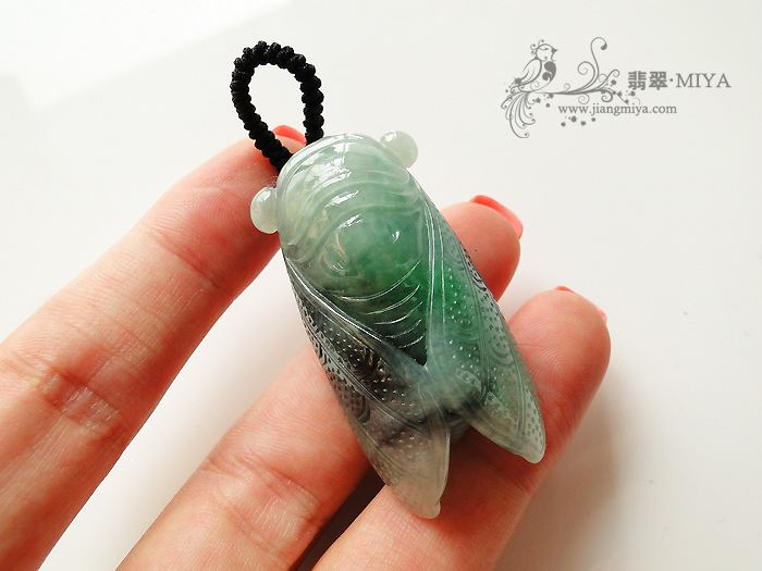 一鸣惊人，比翼双飞，两只蝉